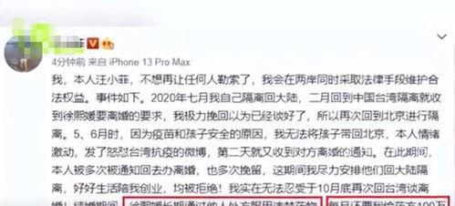 汪小菲爆料事件真相视频,揭秘背后惊人内幕  第3张